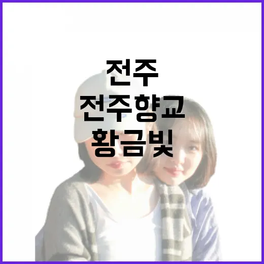 전주 향교 은행나무, 가을 끝자락 황금빛 물결