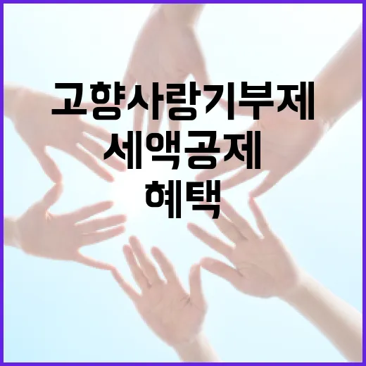 충남 고향사랑기부제, 세액공제와 이벤트 혜택 동시 제공