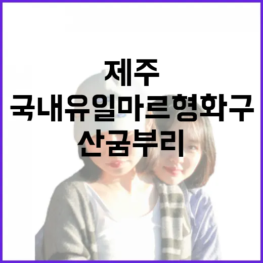 제주 산굼부리, 국내 유일 마르형 화구의 신비