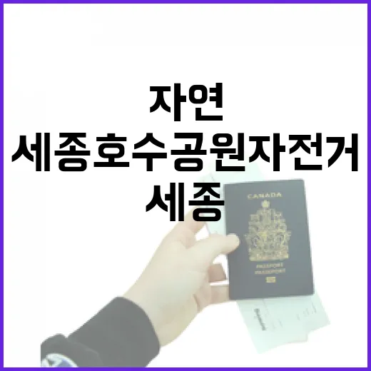 세종호수공원 자전거로 만나는 자연의 속도