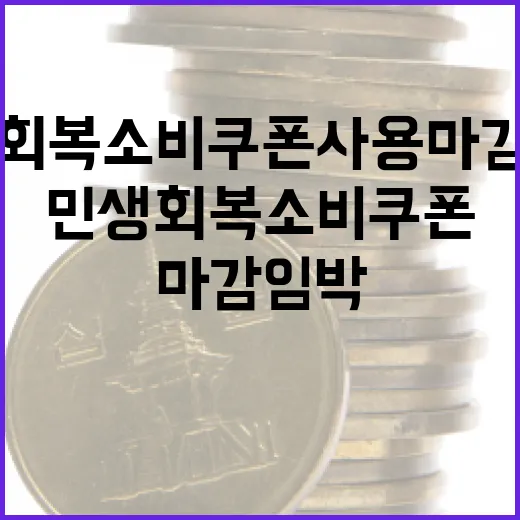 민생회복 소비쿠폰 사용 마감 임박