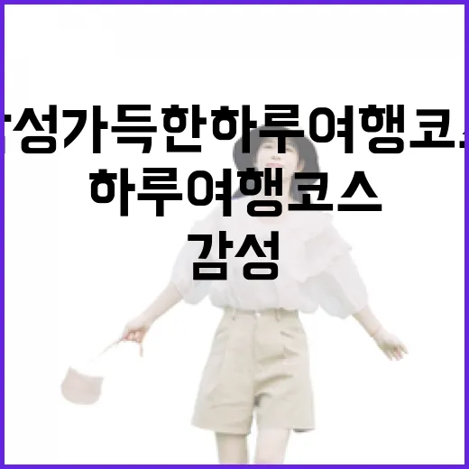태안 감성 가득한 하루 여행 코스