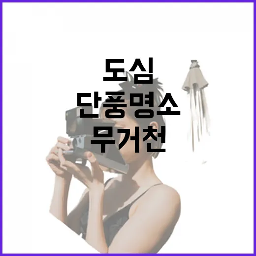 도심 속 무거천 단풍 명소의 매력