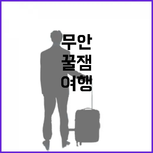 무안 겨울 여행, 먹고 놀고 찍는 꿀잼 코스