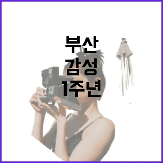 부산 브랜드샵 1주년, 부산 감성 가득한 명소