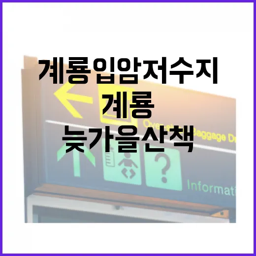 계룡 입암저수지, 늦가을 산책의 진수