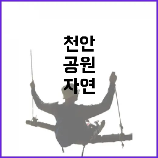 천안 물총새공원, 사계절 자연의 품격