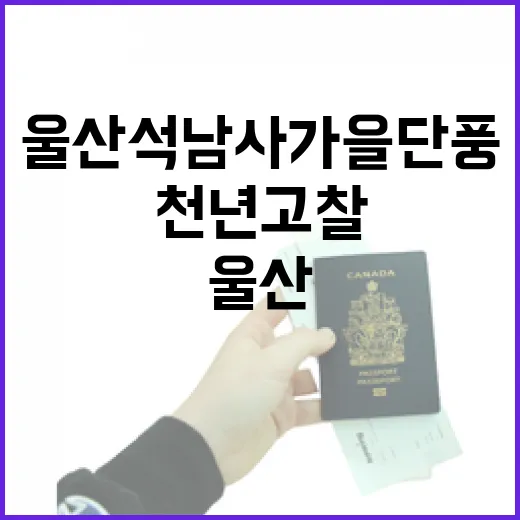 울산 석남사 가을 단풍과 천년고찰 산책길