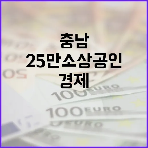충남 25만 소상공인, 지역경제의 든든한 버팀목