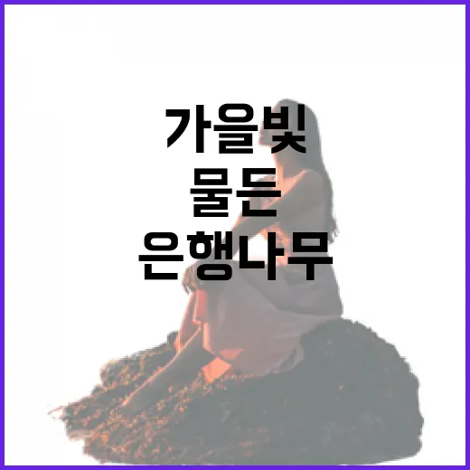 충남 가을빛 물든 은행나무 명소 3선