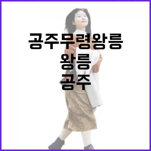 공주 무령왕릉, 세기의 고고학 발견 현장