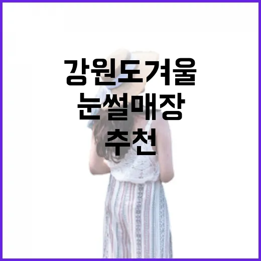 강원도 겨울 눈썰매장 베스트 추천