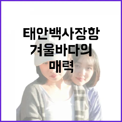 태안 백사장항, 겨울 바다의 고요한 매력