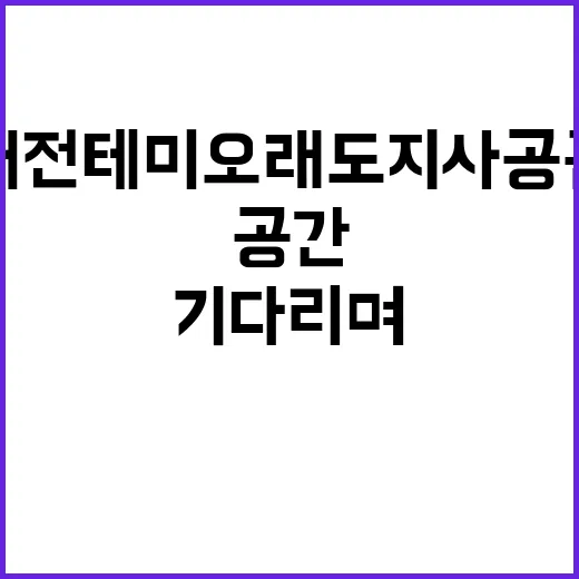 대전 테미오래 도지…