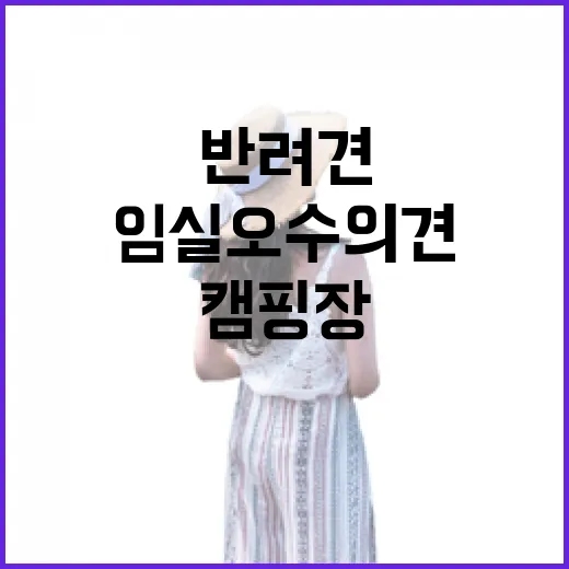 반려견과 함께하는 임실 오수의견 캠핑장