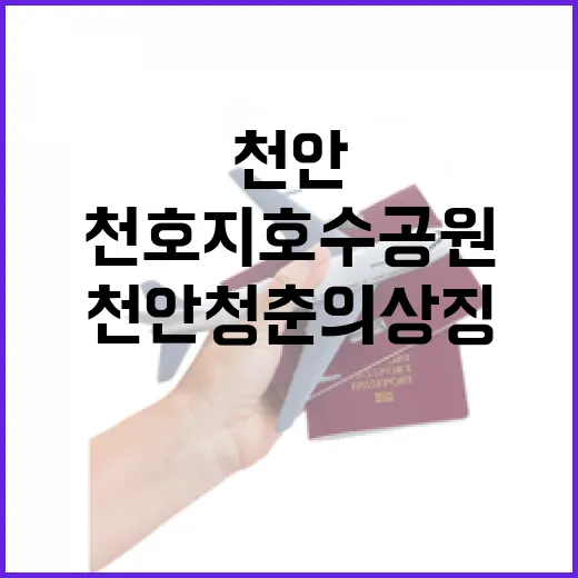 천안 청춘의 상징 천호지 호수공원 산책기