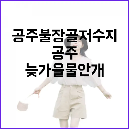 공주 불장골저수지, 늦가을 물안개와 단풍의 절경