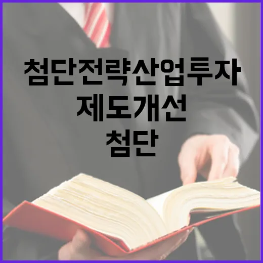 첨단전략산업 투자 제도개선, 구체안 미정