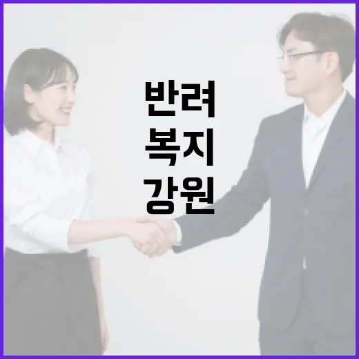 강원 첫 공공 반려동물복지센터 개관