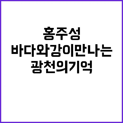 광천의 기억, 바다와 강이 만나는 홍주성 전시