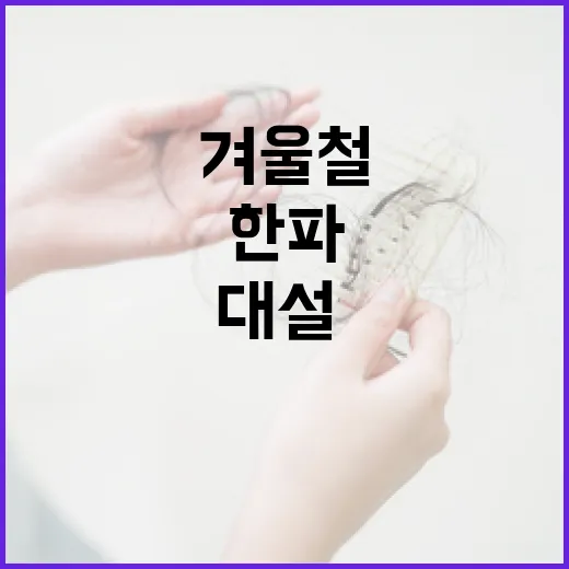 겨울철 대설·한파 철저 대비법