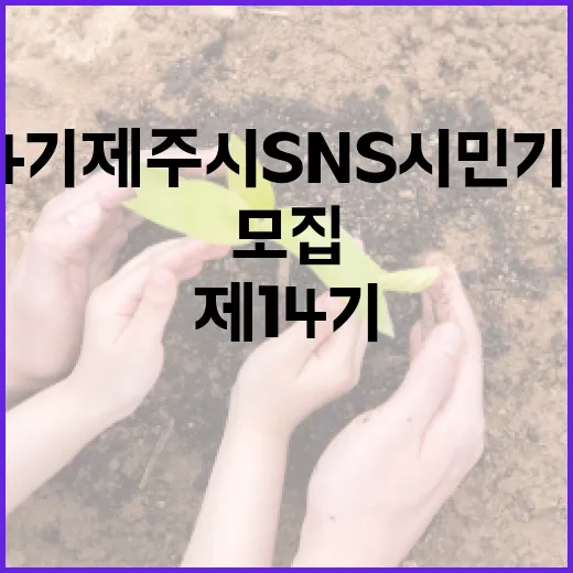 제14기 제주시 SNS 시민기자단 모집 시작