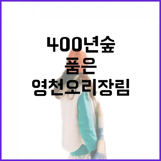 400년 숲 품은 영천 오리장림 산책길
