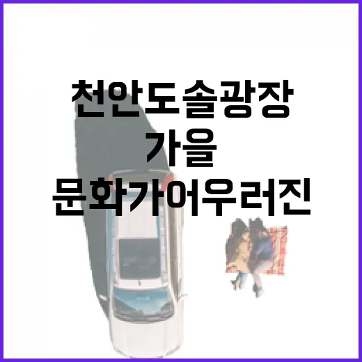 천안 도솔광장, 가을의 색채와 문화가 어우러진 산책 명소