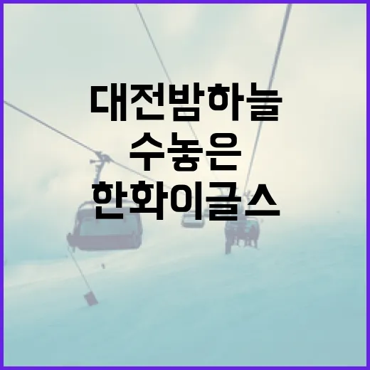 대전 밤하늘 수놓은 한화이글스 40주년 불꽃쇼