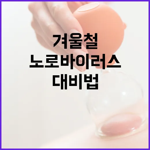 겨울철 노로바이러스 철저 대비법