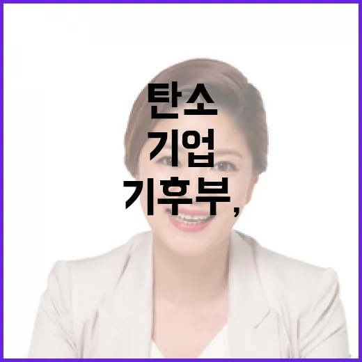 기후부, 기업 탄소배출권 비용 과다 산정 지적