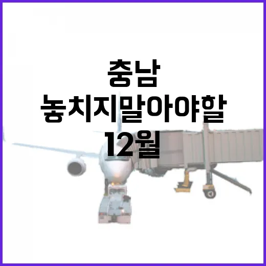 12월 충남 축제, 놓치지 말아야 할 명소