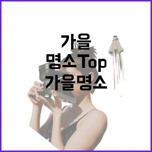 세종 가을 명소 TOP3, 11월 인기 콘텐츠