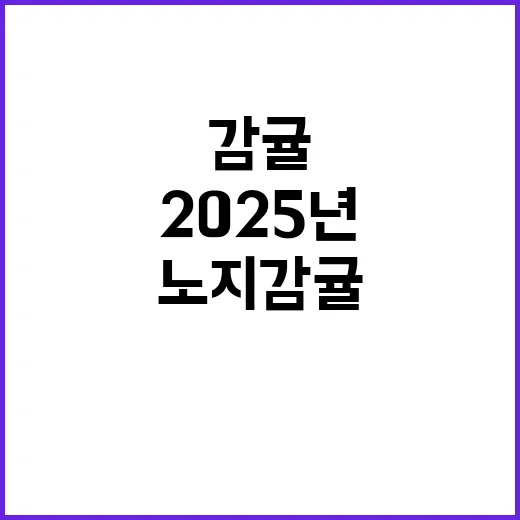 2025년 노지감귤…