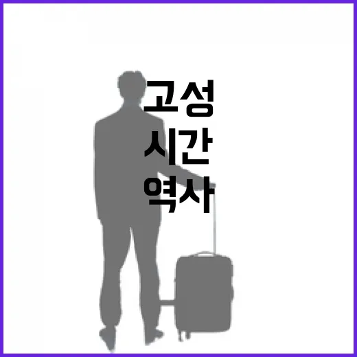 고성박물관, 3500년 역사 품은 시간의 문 열다