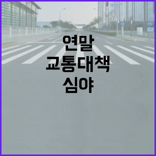 연말 심야 교통 대책, 택시·버스 막차 대폭 확대