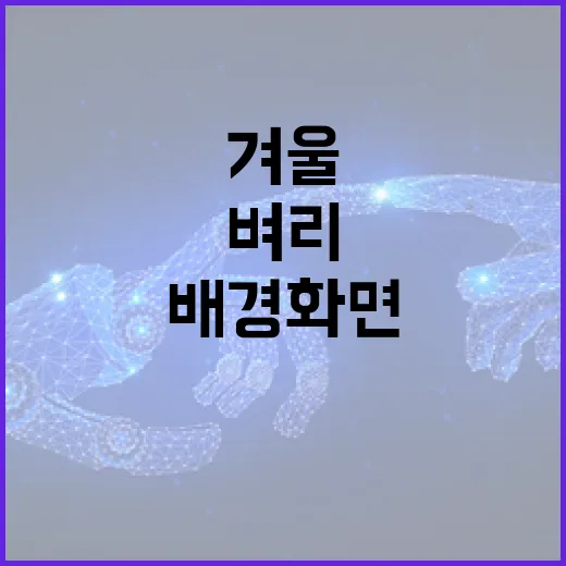 벼리 겨울 배경화면 9종 출시