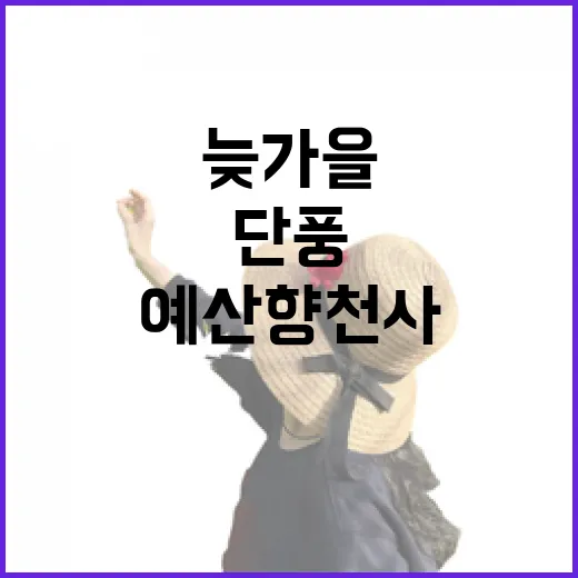 예산 향천사, 늦가을 단풍 절경