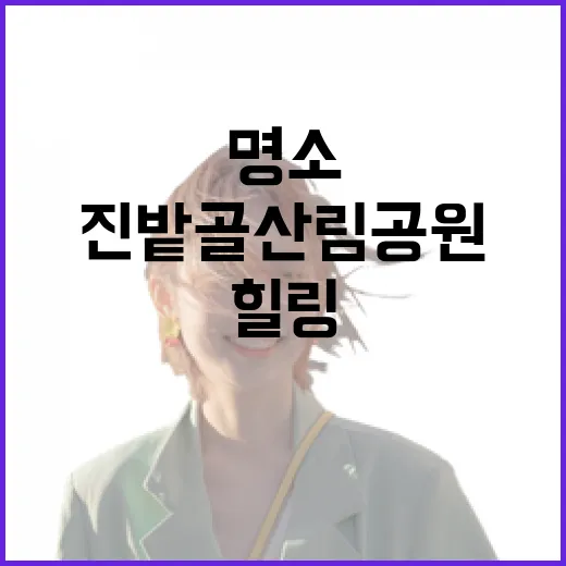 진밭골 산림공원, 가을 숲속 힐링 명소