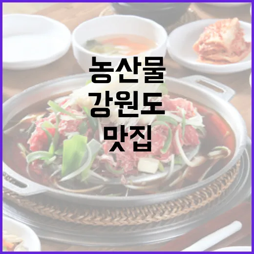 강원도 로컬 농산물 맛집 여행