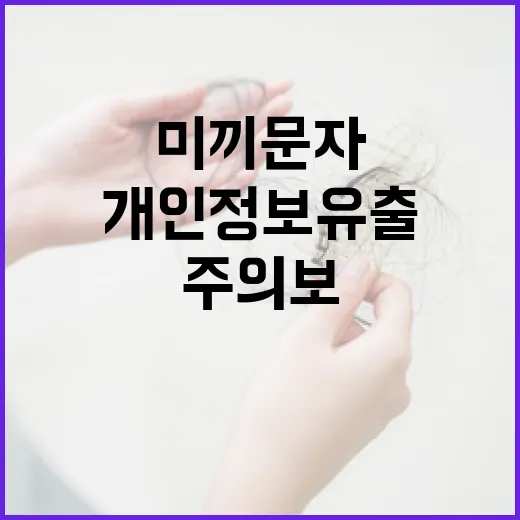 미끼문자 주의보, 개인정보 유출 위험