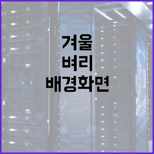 벼리 겨울 배경화면 9종 출시