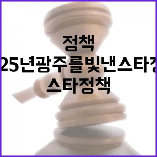 2025년 광주를 빛낸 스타정책 총결산