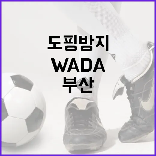 부산서 열린 WADA 총회, 디지털 도핑방지 교육 강화
