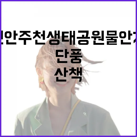 진안 주천생태공원 물안개와 단풍의 겨울 산책