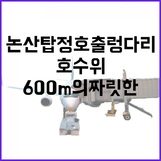 논산 탑정호 출렁다리, 호수 위 600m의 짜릿한 산책