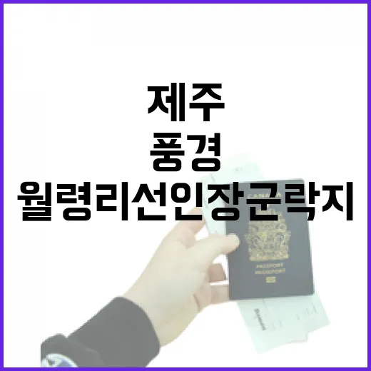 제주 월령리 선인장 군락지의 독특한 풍경