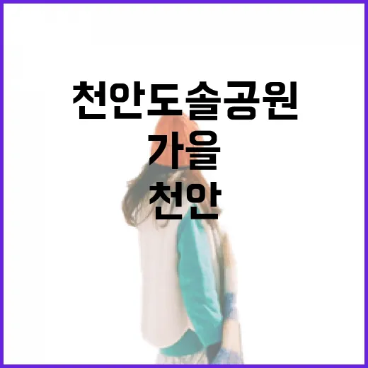 천안 도솔공원 가을 산책길 풍경