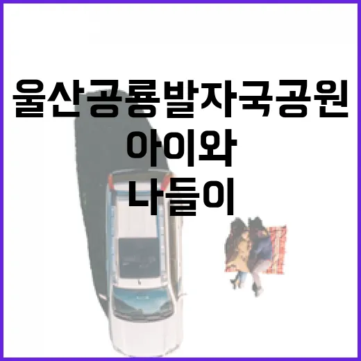울산 공룡발자국공원 아이와 나들이 명소