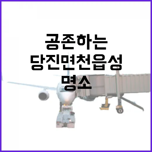 당진 면천읍성, 시간과 역사가 공존하는 명소